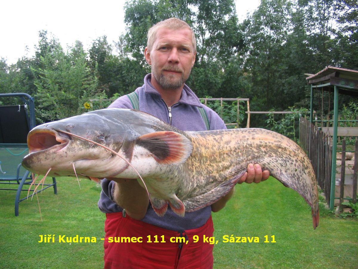 Jiří Kudrna, sumec 111 cm, 9 kg, Sázava 11