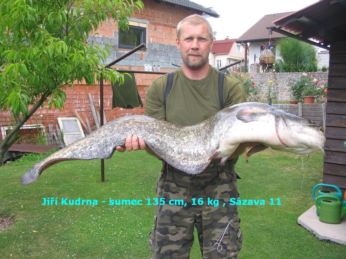 Jiří Kudrna, sumec 135 cm, 16 kg, Sázava 11
